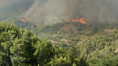 Φωτιά στην Αττική: Ανακοίνωση σχετικά με τις αιτήσεις πληγεισών επιχειρήσεων