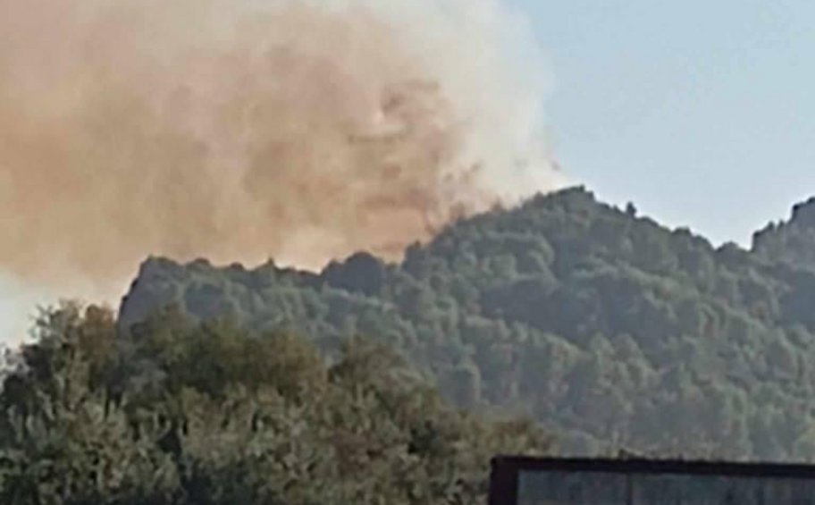 Σε εξέλιξη πυρκαγιά στην Ηλεία - ΦΩΤΟ