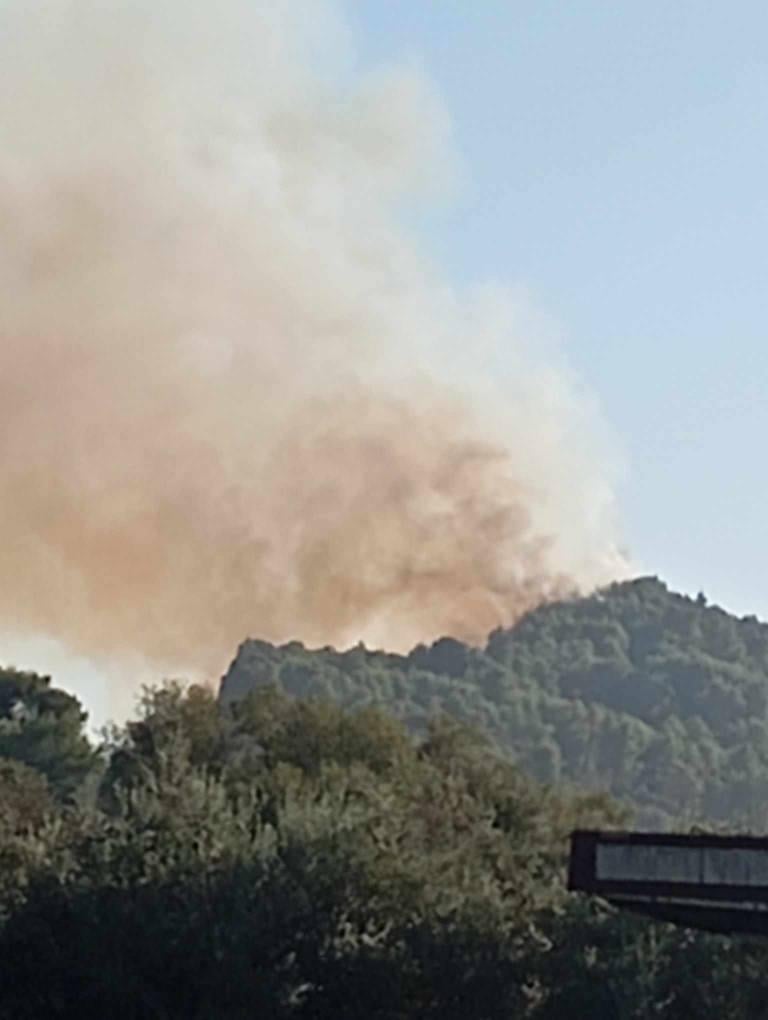 ilialive.gr ilialive.gr