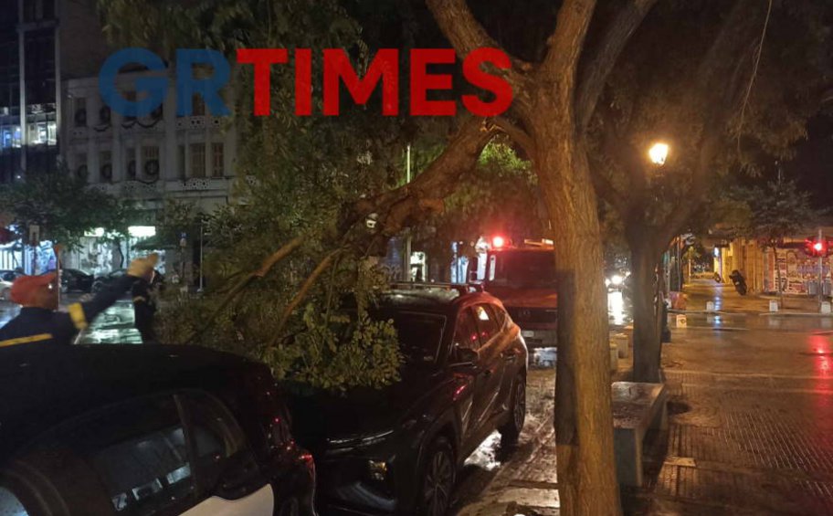 Θεσσαλονίκη: 200 κλήσεις στην Πυροσβεστική λόγω της κακοκαιρίας – 44 κοπές δέντρων
