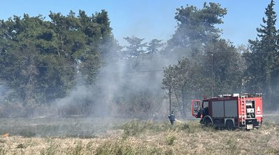 Πυρκαγιές στο Στρατώνι Χαλκιδικής και την Ειδομένη Κιλκίς