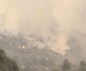 Aνεξέλεγκτη μαίνεται η πυρκαγιά στην Κορινθία - Ανησυχία για δύο μέτωπα - ΒΙΝΤΕΟ-ΦΩΤΟ