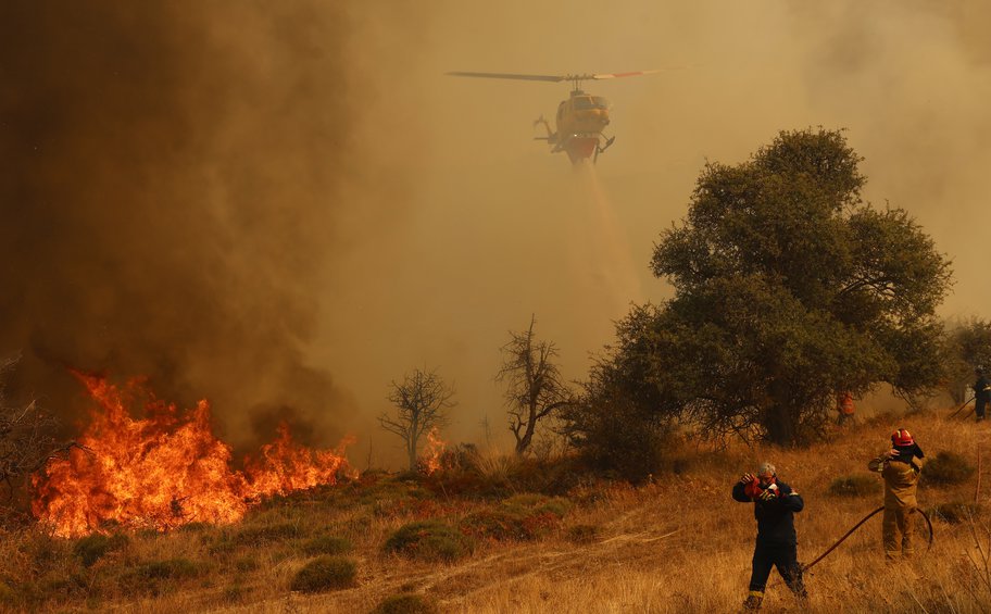 Κορινθία: Πρόστιμο σε άνδρα που κάπνιζε μελίσσια πριν την εκδήλωση της φωτιάς 