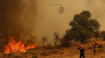 Κορινθία: Πρόστιμο σε άνδρα που κάπνιζε μελίσσια πριν την εκδήλωση της φωτιάς 