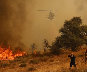 Κορινθία: Πρόστιμο σε άνδρα που κάπνιζε μελίσσια πριν την εκδήλωση της φωτιάς 