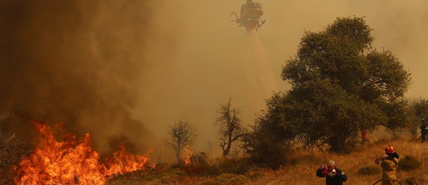 Κορινθία: Πρόστιμο σε άνδρα που κάπνιζε μελίσσια πριν την εκδήλωση της φωτιάς 