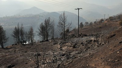 Φωτιά στην Κορινθία: Πάνω από 65.000 τα καμένα στρέμματα – Εικόνες της καταστροφής από δορυφόρο