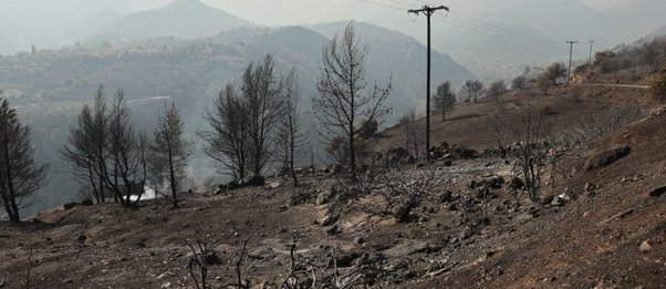 Φωτιά στην Κορινθία: Πάνω από 65.000 τα καμένα στρέμματα – Εικόνες της καταστροφής από δορυφόρο