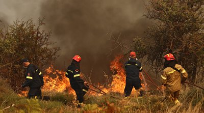 Πυροσβεστική: 37 αγροτοδασικές πυρκαγιές το τελευταίο 24ωρο σε όλη τη χώρα - 9 πυρκαγιές στην περιοχή της Ηλείας