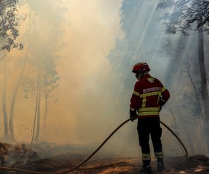 Φωτιά στην Αμαλιάδα: Στο χειρουργείο ο πυροσβέστης που τραυματίστηκε 
