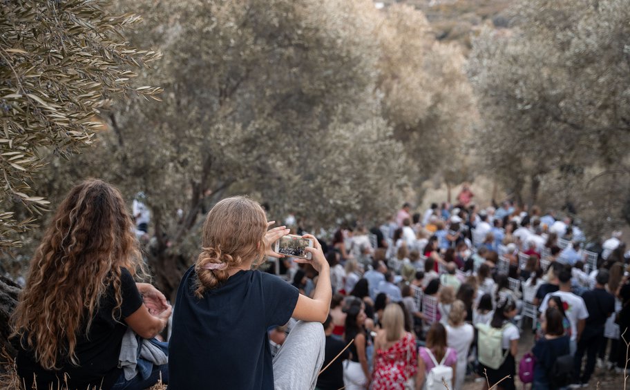 Νάξος: Γεύσεις, νότες και πολιτισμός στη σκιά της ελιάς