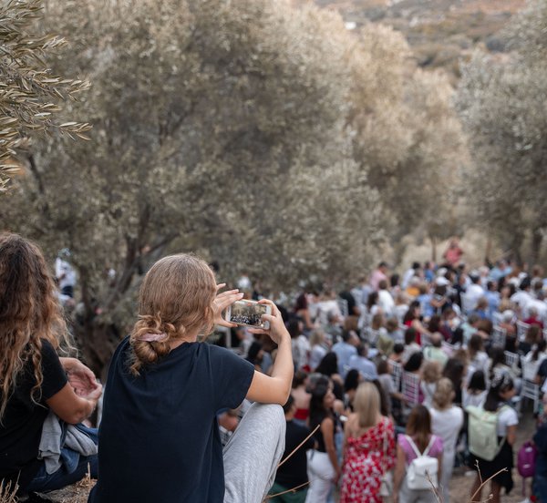 Νάξος: Γεύσεις, νότες και πολιτισμός στη σκιά της ελιάς