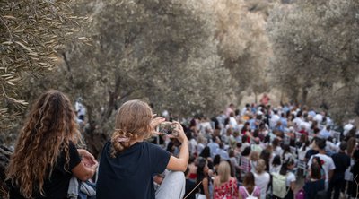 Νάξος: Γεύσεις, νότες και πολιτισμός στη σκιά της ελιάς