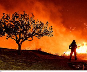 Φωτιά στην Κορινθία: Προθεσμία 48 ωρών για εξηγήσεις έλαβε ο αντιδήμαρχος 