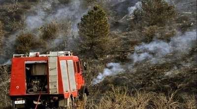 Υψηλός κίνδυνος πυρκαγιάς αύριο σε πολλές περιοχές της χώρας - Επικίνδυνη εβδομάδα για εκδήλωση πυρκαγιών