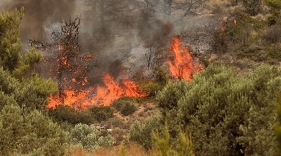 Θεσσαλονίκη: Πρόστιμο 1.500 ευρώ γιατί έβαλε φωτιά σε υπολείμματα καλλιεργειών στο Νέο Ρύσιο