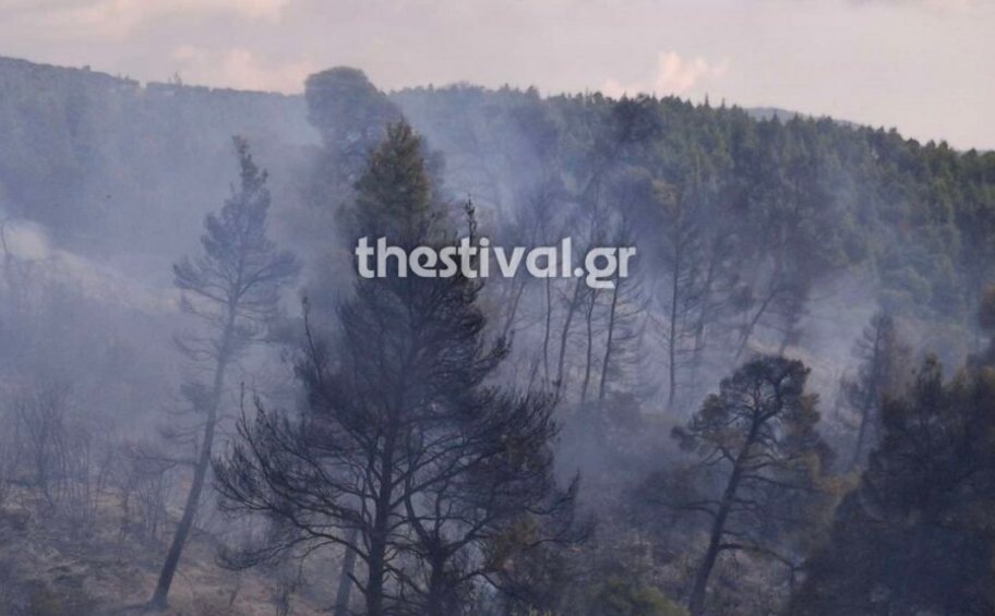 Χαλκιδική: Καλύτερη εικόνα της πυρκαγιάς στη Σιθωνία 