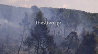 Χαλκιδική: Καλύτερη εικόνα της πυρκαγιάς στη Σιθωνία 