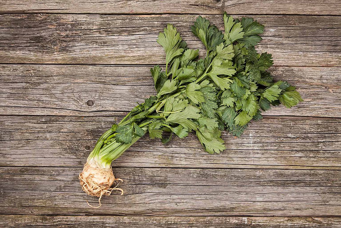 Το σέλινο… σύμμαχος της υγείας μας
