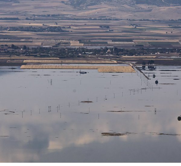 Αύριο (8/11) η εκκαθάριση πληρωμών ύψους 4,1 εκατ. ευρώ σε κτηνοτρόφους για Daniel - Elias