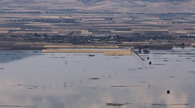 Αύριο (8/11) η εκκαθάριση πληρωμών ύψους 4,1 εκατ. ευρώ σε κτηνοτρόφους για Daniel - Elias