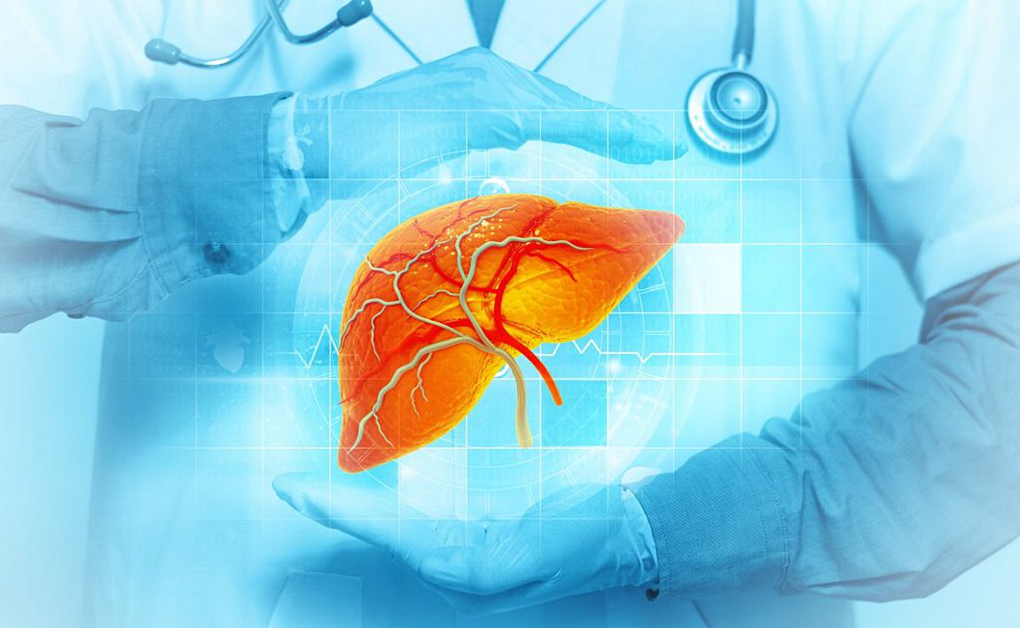 Λιπώδες ήπαρ: Πού οφείλεται, ποια συμπτώματα παρουσιάζει και πώς αντιμετωπίζεται