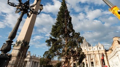 «Μην αφήσετε να κοπεί αιωνόβιο έλατο για τον στολισμό της πλατείας του Αγίου Πέτρου»