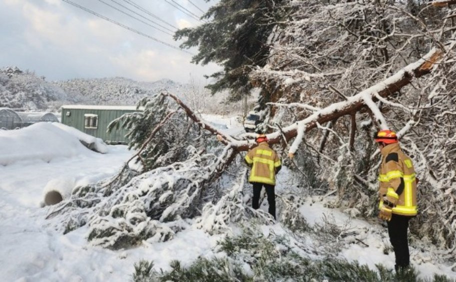 Νότια Κορέα: 5 νεκροί από χιονόπτωση ρεκόρ - Η τρίτη μεγαλύτερη από το 1907
