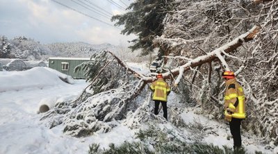 Νότια Κορέα: 5 νεκροί από χιονόπτωση ρεκόρ - Η τρίτη μεγαλύτερη από το 1907
