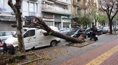 Θεσσαλονίκη: Σαρωτικό το πέρασμα της κακοκαιρίας Bora - ΕΙΚΟΝΕΣ