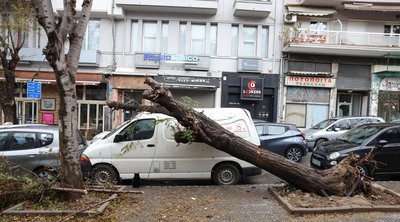 Κακοκαιρία Bora: Κλειστά σχολεία και κοιμητήρια στον δήμο Θεσσαλονίκης 