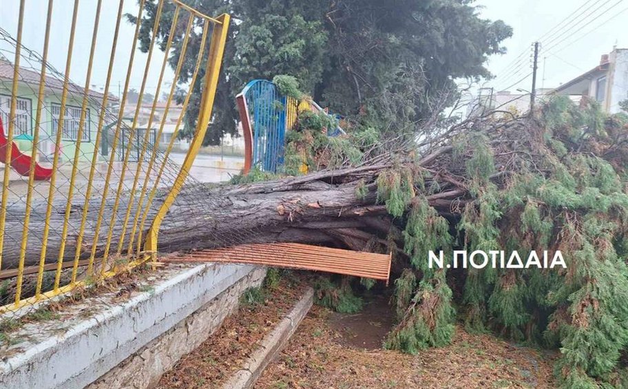 Κακοκαιρία Bora - Χαλκιδική: Κατολισθήσεις, πλημμύρες και μήνυμα 112 - ΕΙΚΟΝΕΣ
