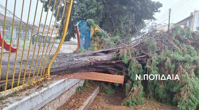 Κακοκαιρία Bora - Χαλκιδική: Κατολισθήσεις, πλημμύρες και μήνυμα 112 - ΕΙΚΟΝΕΣ
