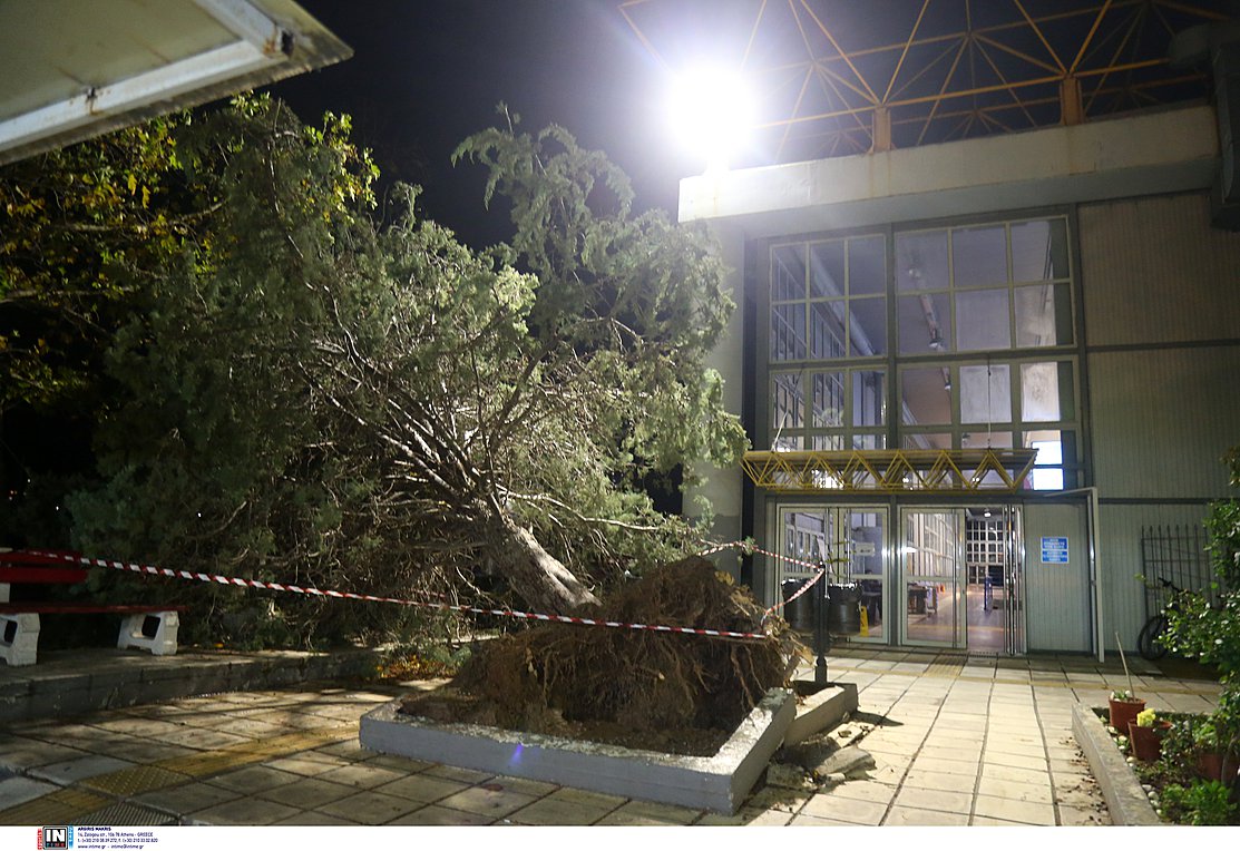 Τι αναφέρει ο ΔΕΔΔΗΕ για τα προβλήματα ηλεκτροδότησης λόγω κακοκαιρίας