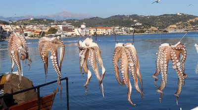 Taste Atlas: Αποθέωσε την ελληνική κουζίνα 