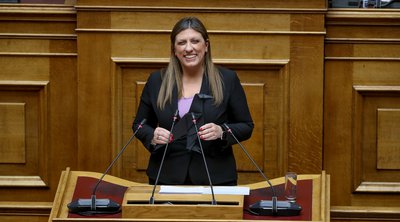 Κωνσταντοπούλου: Η παρέμβαση με...χάρτινο κοράκι κατά των ηλεκτρονικών πλειστηριασμών 