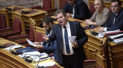 Μιχάλης Χρυσοχοϊδης για τον αστυνομικό της Βουλής: Θα αποδοθούν ευθύνες όπου αναλογούν, σε όλα τα επίπεδα