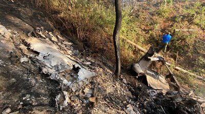 Μεξικό: Αεροσκάφος συνετρίβη σε δασική περιοχή - Επτά νεκροί - ΒΙΝΤΕΟ