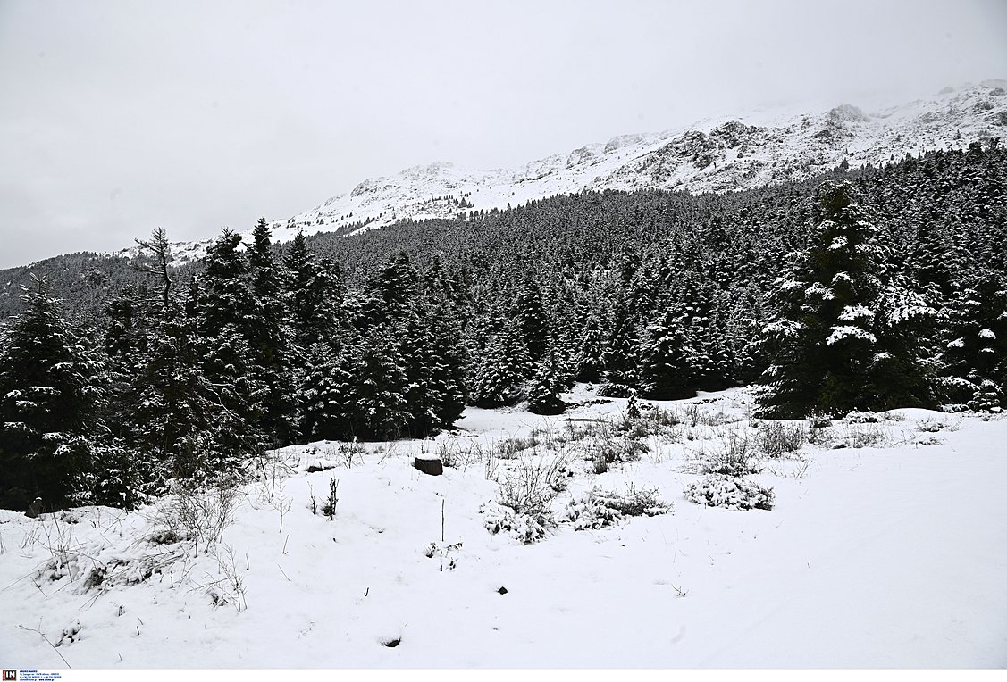 Κακοκαιρία: Χιόνια σε Πάρνηθα και Πεντέλη – Πού διακόπηκε η κυκλοφορία