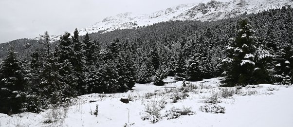 Κακοκαιρία: Χιόνια σε Πάρνηθα και Πεντέλη - Πού διακόπηκε η κυκλοφορία
