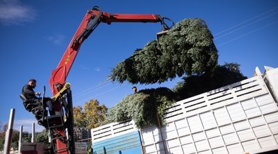 Περίπου 6.000 χριστουγεννιάτικα δέντρα θα ανακυκλωθούν στη Θεσσαλονίκη
