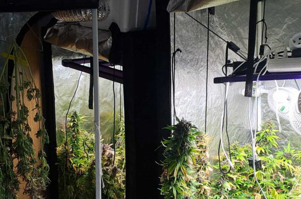 Κρήτη: Δύο συλλήψεις για ναρκωτικά – Είχαν στήσει… εργαστήριο υδροπονικής καλλιέργειας χασίς