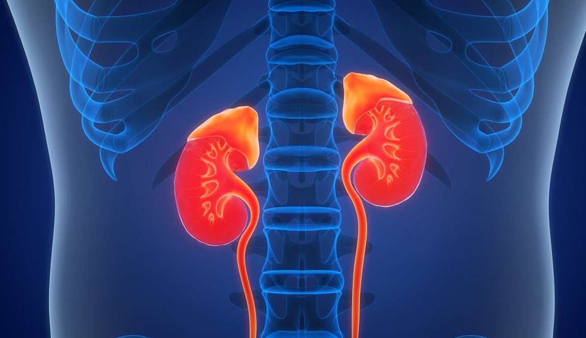 Laser στην ουρολογία: Σύγχρονη αντιμετώπιση των ουρολογικών παθήσεων